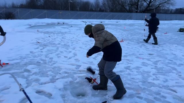 Видеообзор с водоема