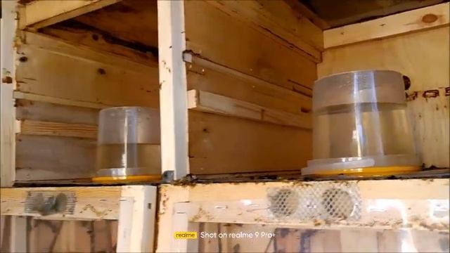уменьшаем трудозатраты на закормке в зиму