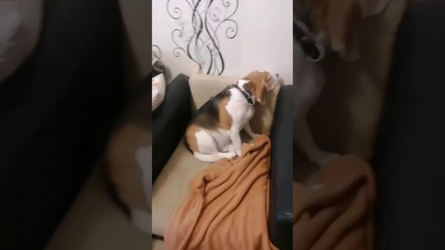 Взгруснулось