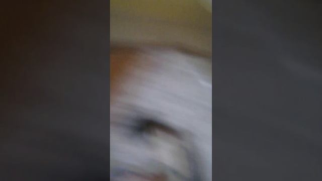 без телефона