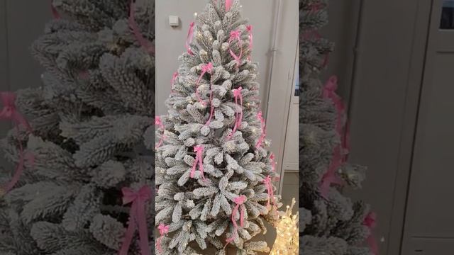 1000424713.mp4