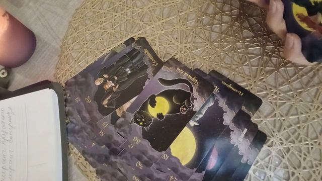 БУМЕРАНГ ПРЕДАТЕЛЮ
