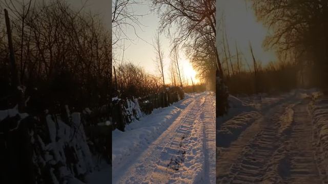 прогулка