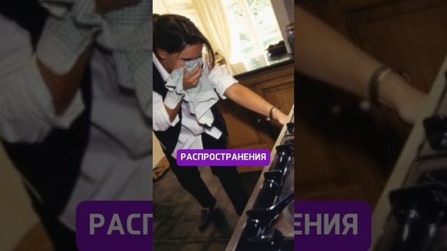 Ставить или не ставить ДВЕРИ НА КУХНЮ❓