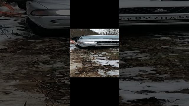 только со второго раза вырвали нивас)))