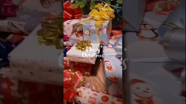 lv_0_20250102215622.mp4
