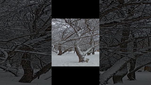 Зимняя новогодняя красота😍🌨❄👍🎄