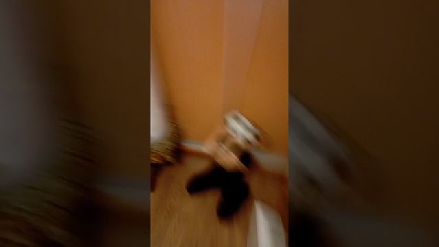 новогодние съедобное не съедобное игра