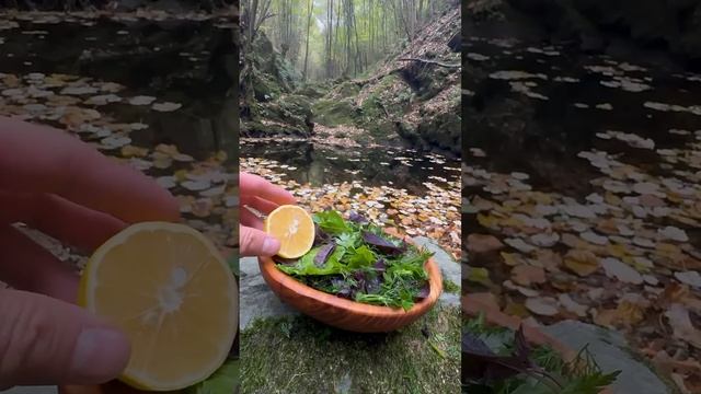 Приготовление еды, на природном камне
#природа