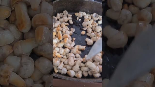 Грибы на сковородке. Шампиньоны #грибы #Шампиньоны #грибалка