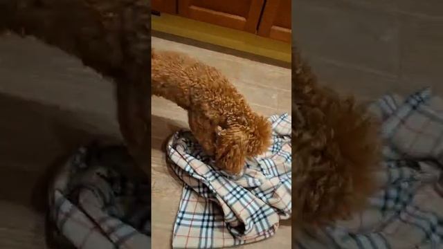 Каждый занят своим делом