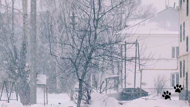 Снегопад из окна ❄️