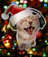 Котя