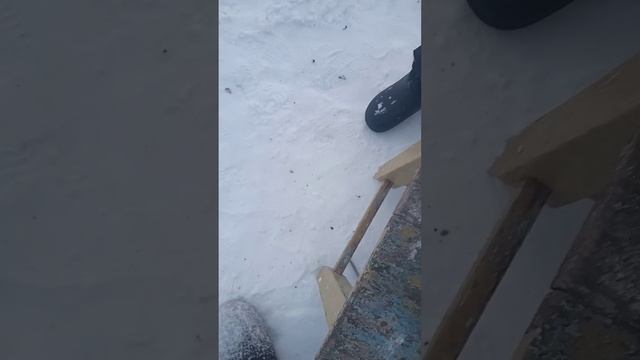 петарды под стаканом