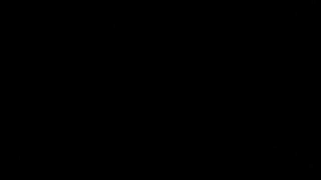 1000003030.mp4
