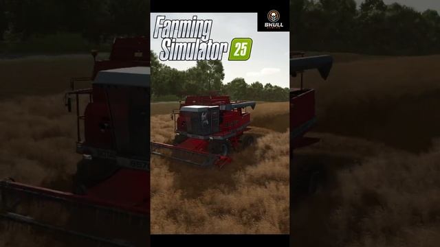 Farming Simulator 25/Собираем Канола #shorts