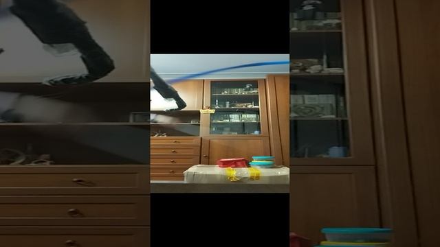 танцы с песней моаны и моей гимнастической лентой