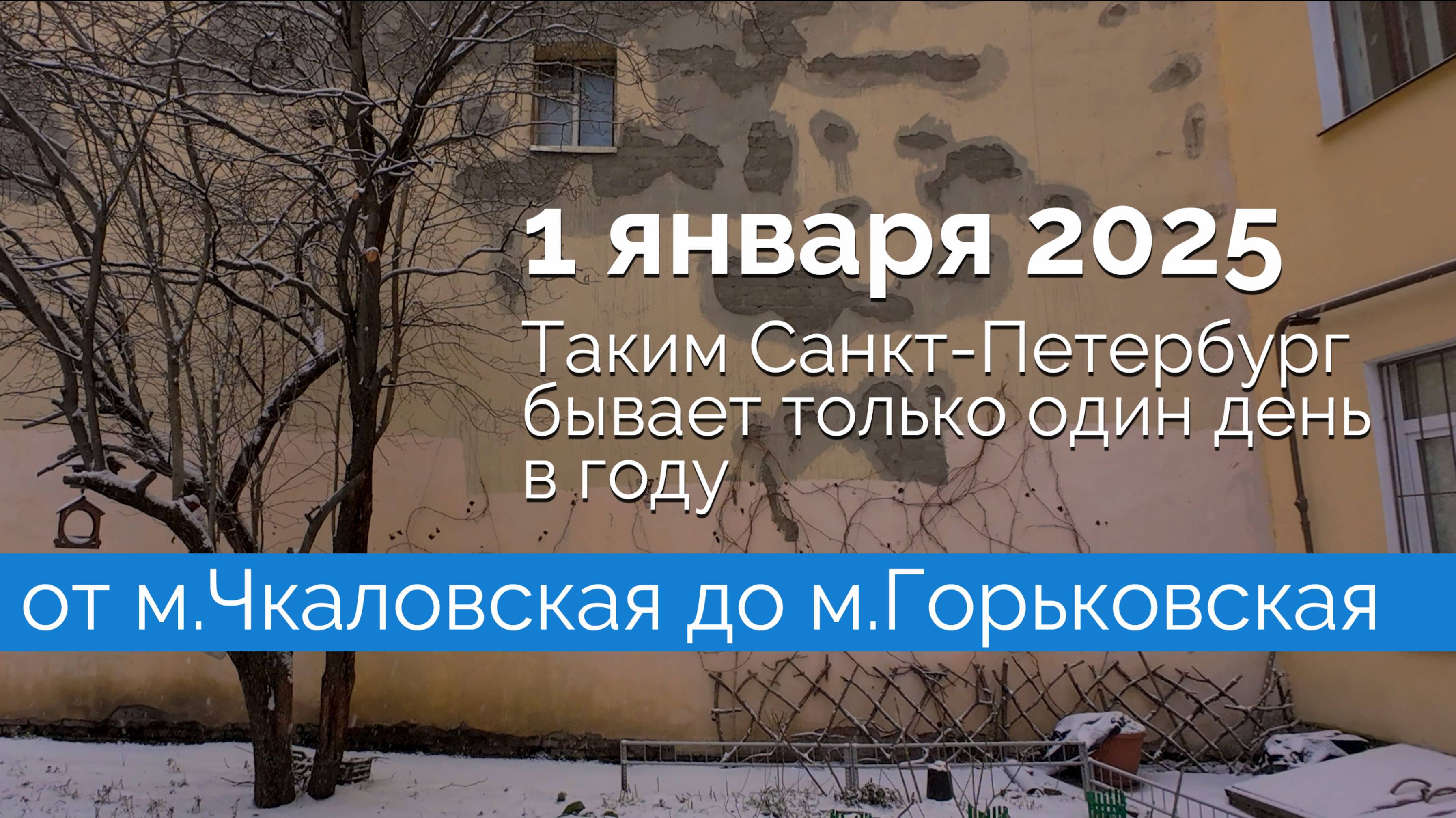 Таким Петербург бывает только ОДИН день году!  | 1 января 2025 | Петроградская сторона.