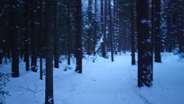 Обзор тропа здоровья п.Кез.
И немного мыслей.