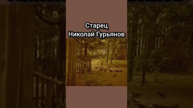 Старец Николай Гурьянов