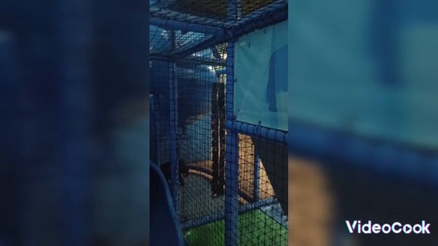 Планета Игрек - Планета Развлечений