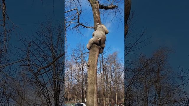 Петровский район Донецка