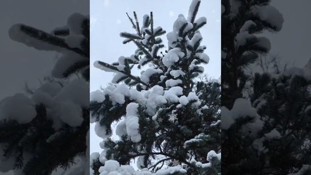 Зимняя сказка...