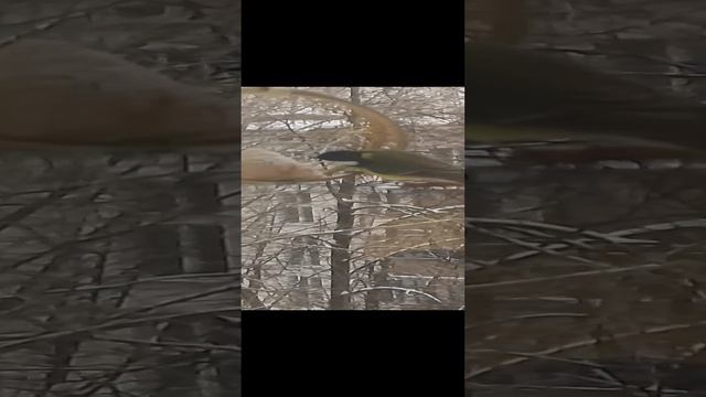 2*02.01.2025.