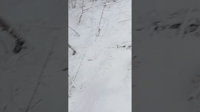 Ещё одна привада.