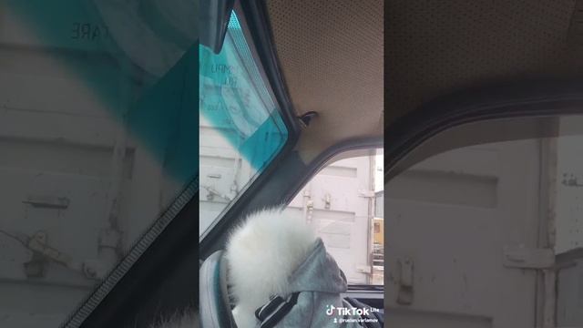 1000005686.mp4
