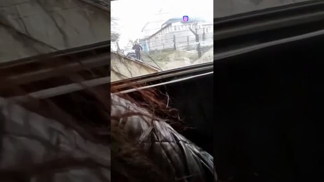 1000006995.mp4
