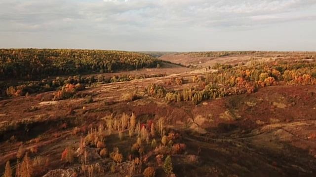 Э-ох, нужда кровная,
Ох(ы), служба царская, ох(ы), Царя Русского,
Ох, да Петра Первого