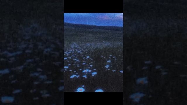 1000096486.mp4
