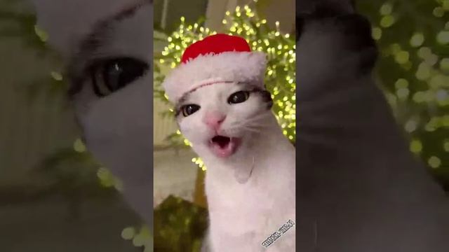 Новогодние вкусняшки 🍬