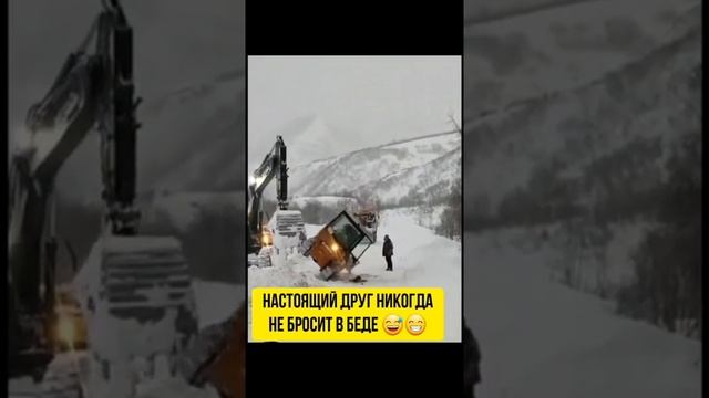 настоящий друг 😄😄