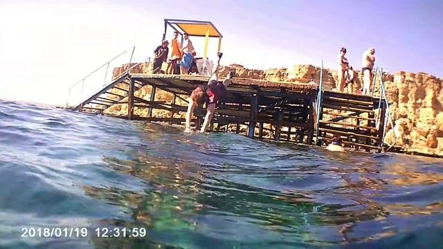 Погружение селёдки 🐡