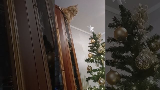 1000021919.mp4