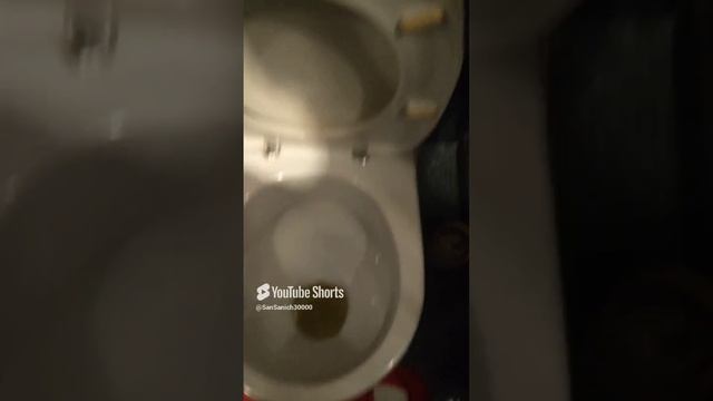 Смыв унитаза
