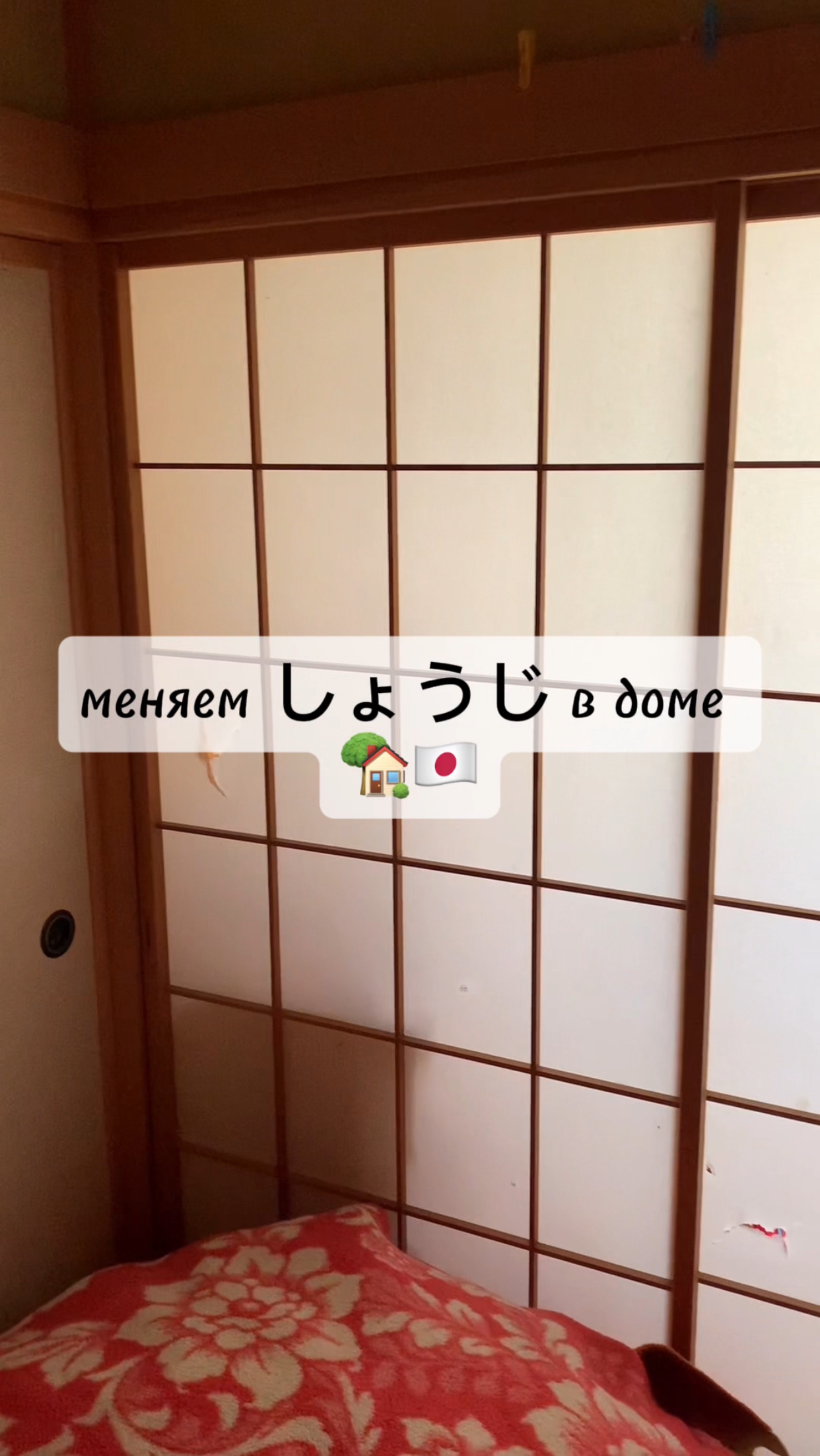 Меняем しょうじ в доме