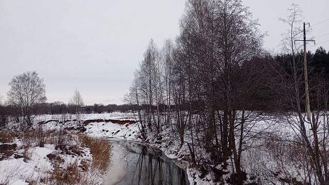 первое января. страшный вой в лесной тишине