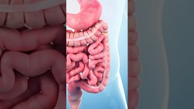 Почему БАДы не помогают и провоцируют отеки #бады #отеки #причина