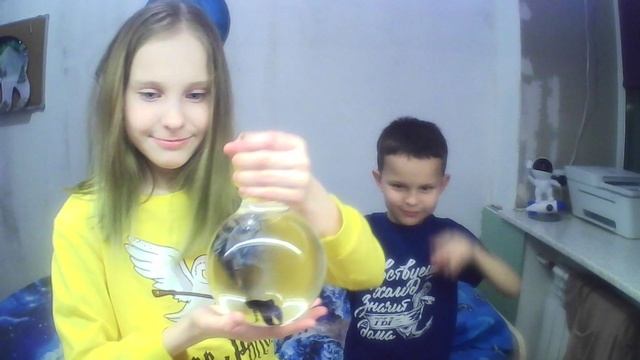 WIN_20250101_22_08_45_Pro