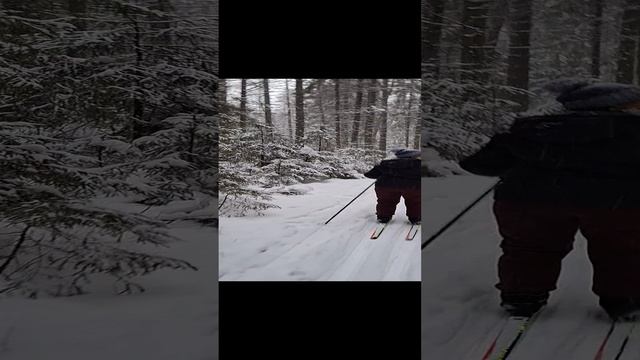 1000003740.mp4