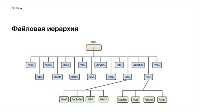 2.2 Linux об операционной системе и файлах