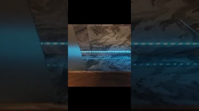 1000062359.mp4