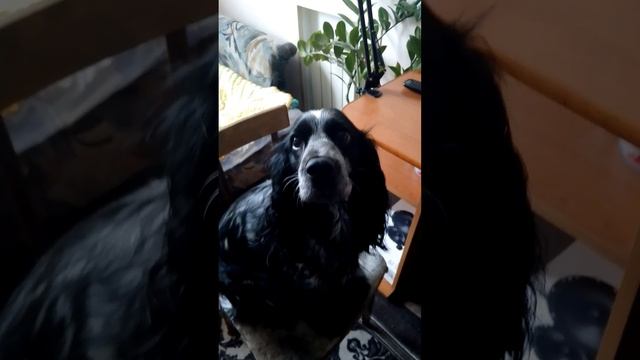 1000013841.mp4