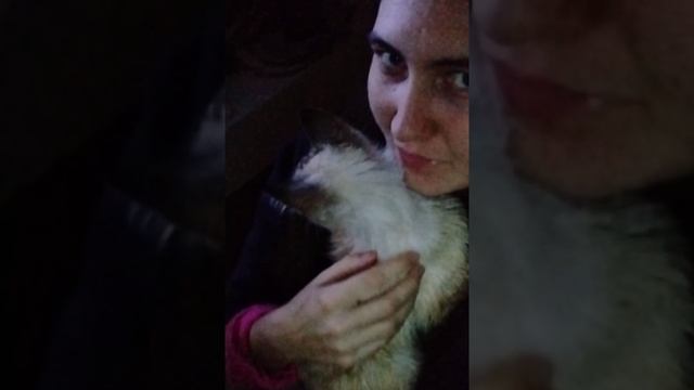 Как же кошка любит свою двухногую😘😍