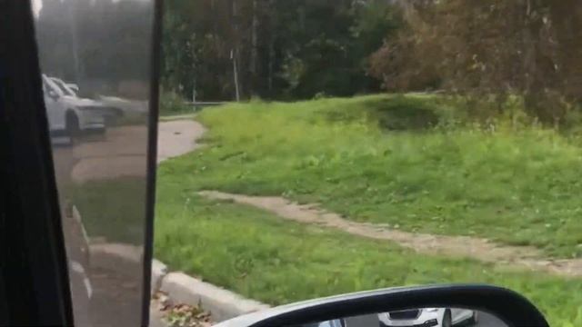 Прогулка с собакой/покупки с фикс прайс