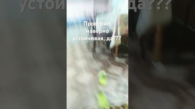 проверил, ( залетит без #?)