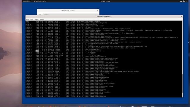 2.3 Linux о процессах